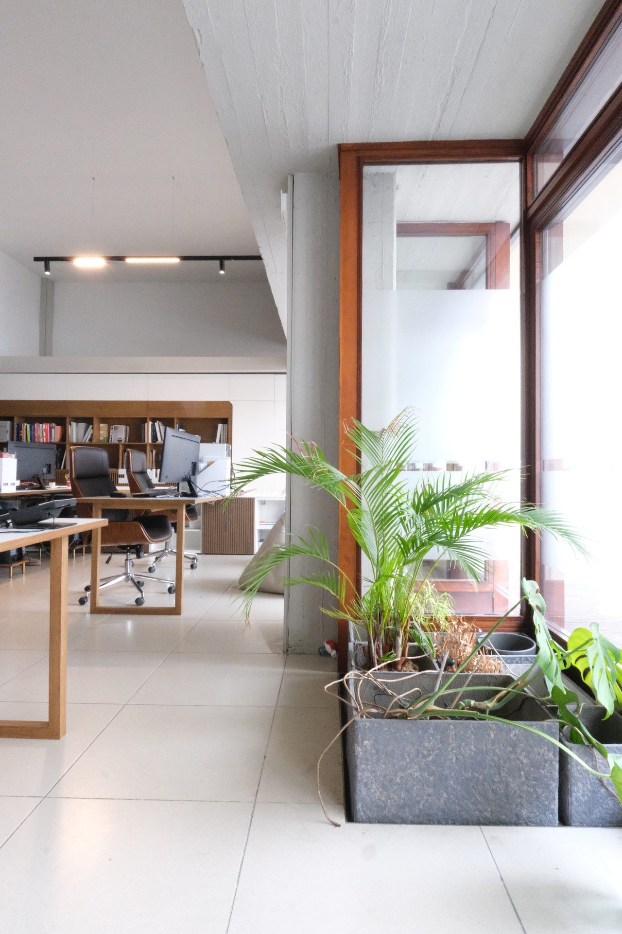 STUDIOFORMA Via dell'Arcolaio — ufficio principale con vetrate sul giardino e piante